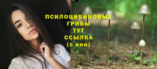 трава Аркадак