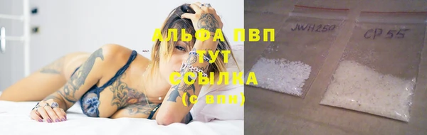 трава Сатка