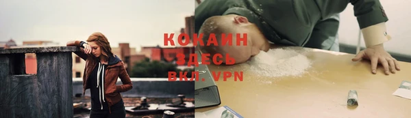 твердый Арсеньев