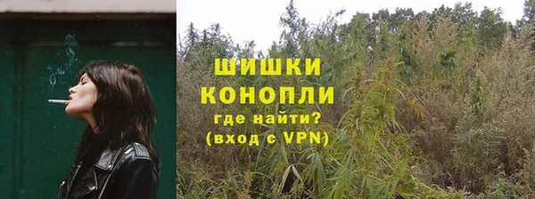 трава Сатка
