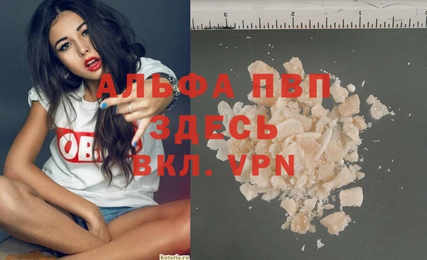 твердый Арсеньев