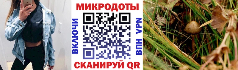 omg рабочий сайт  Гремячинск  Галлюциногенные грибы ЛСД 